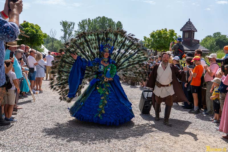Das Grosse Treffen - Fantasy Festival Fotos von Mirimor.ch - Das Fantasy Festival Mittelalter trifft auf Gothic, Steampunk und Endzeit. Fantasy & LARP in Aach am Bodensee Deutschland