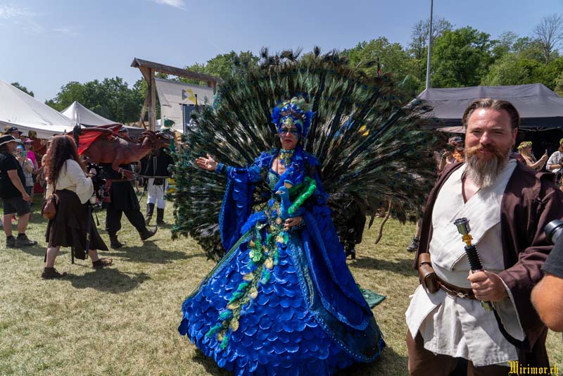Das Grosse Treffen - Fantasy Festival Fotos von Mirimor.ch - Das Fantasy Festival Mittelalter trifft auf Gothic, Steampunk und Endzeit. Fantasy & LARP in Aach am Bodensee Deutschland